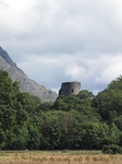 SX23489 Tower poking behind trees.jpg